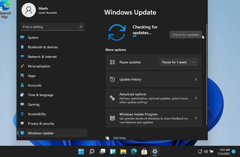 Windows Updates on Windows 11